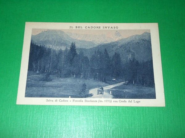 Cartolina Il bel Cadore invaso - Selva di Cadore - …