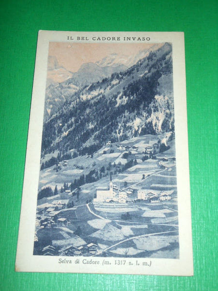 Cartolina Il bel Cadore invaso - Selva di Cadore - …