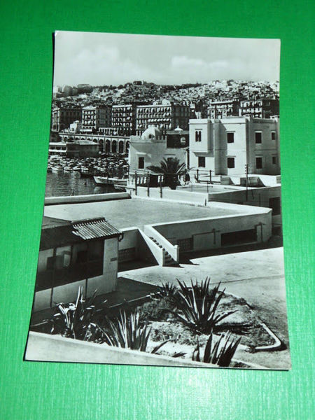 Cartolina Algeria - ALGER - Les Terrasses de l' Amirauté …