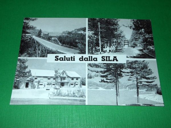 Cartolina Saluti dalla Sila - Vedute diverse 1960 ca ( …