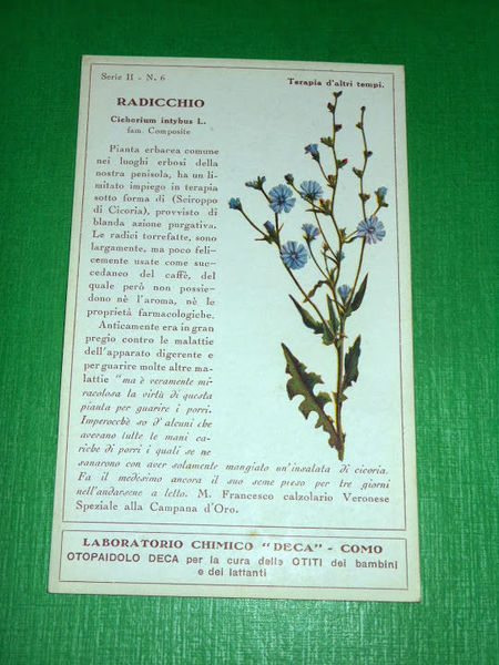 Cartolina Pubblicità Farmaceutica Laboratorio DECA ( Como ) - Radicchio …