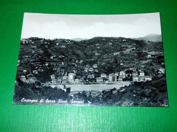 Cartolina Castagna di Serra Riccò ( Genova ) - Panorama …