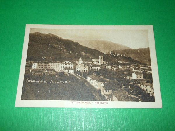 Cartolina Vittorio Veneto - Panorama 1925 ca ( n. 1 …