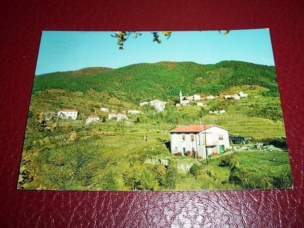 Cartolina Rio di Sesta Godano - Panorama 1973