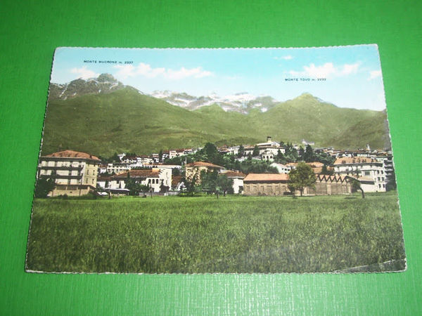 Cartolina Biella - Panorama 1960 ca