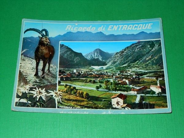 Cartolina Entracque - Panorama 1960 ca