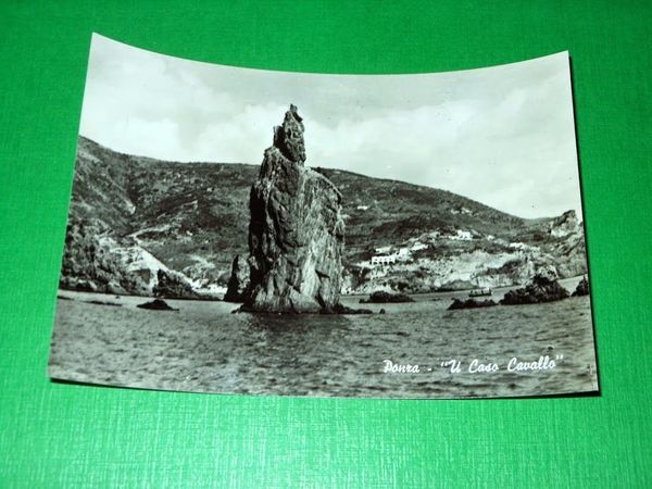 Cartolina Ponza - "U Caso Cavallo" 1960 ca