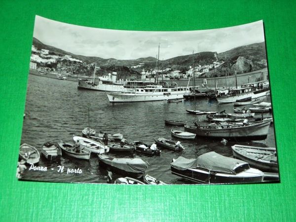 Cartolina Ponza - Il porto 1960 ca #3