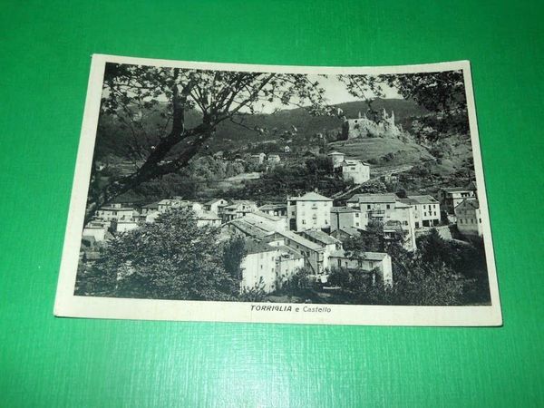 Cartolina Torriglia - Panorama e Castello 1953