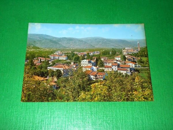 Cartolina Tregnago ( Verona ) - Panorama 1972