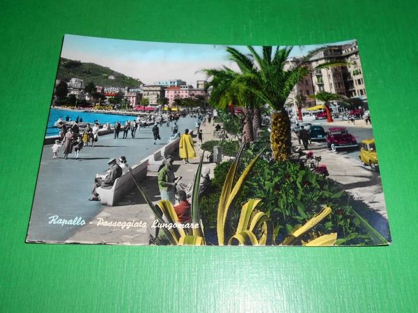 Cartolina Rapallo - Passeggiata lungomare 1960