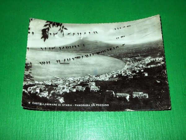 Cartolina Castellammare di Stabia - Panorama da Pozzano 1955