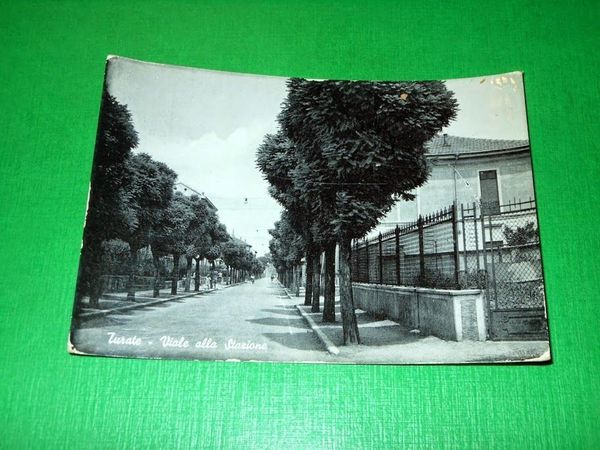 Cartolina Turate - Viale alla Stazione 1956