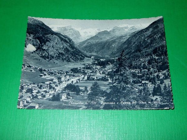 Cartolina Champoluc - Panorama e Catena del Rosa 1950 ca