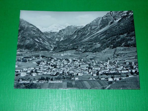 Cartolina Bormio - Panorama 1955