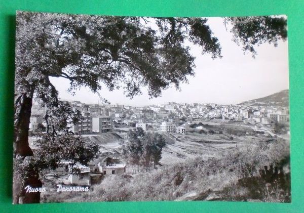 Cartolina Nuoro - Panorama - 1964
