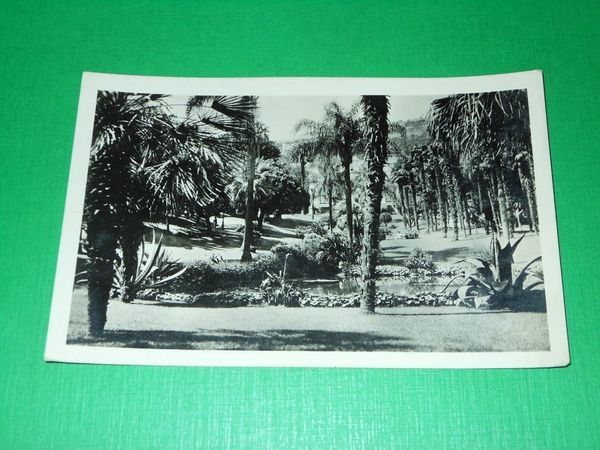 Cartolina Francia - Monte Carlo - Les Jardins du Casino …