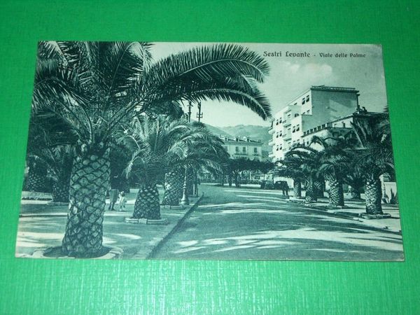 Cartolina Sestri Levante - Viale delle Palme 1950