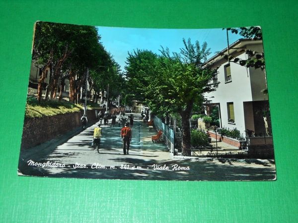 Cartolina Monghidoro ( Bologna ) - Viale Roma 1965