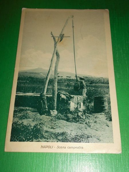 Cartolina Napoli - Scena campestre 1917