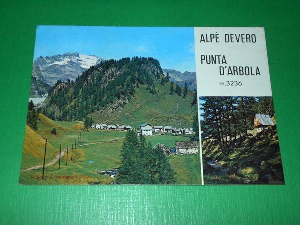 Cartolina Alpe Devero - Punta d' Arbola 1971