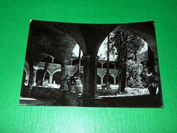 Cartolina Assisi - Basilica di S. Francesco - Antico Cimitero …