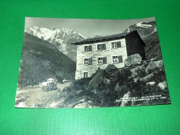 Cartolina Macugnaga - Scartaboden - Ristorante Zubbrigen 1952
