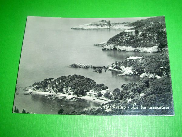 Cartolina Fiascherino - Le tre insenature 1950 ca