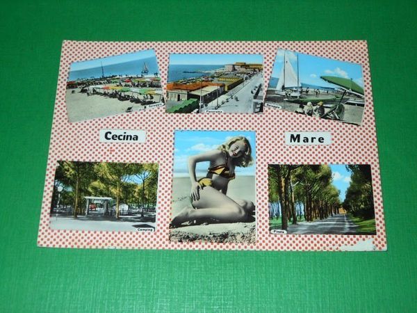 Cartolina Cecina Mare - Vedute diverse 1960 ca