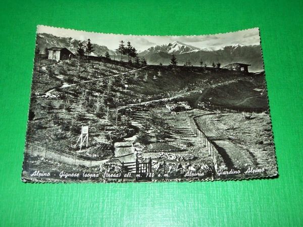 Cartolina Alpino - Gignese - Alpinia Giardino Alpino 1959