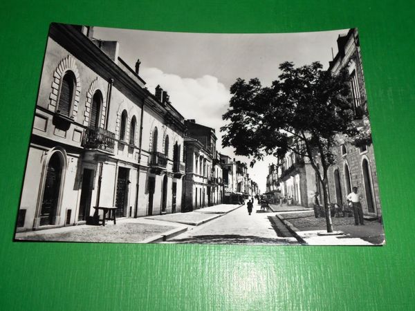 Cartolina Lavello ( Potenza ) - Via Dante 1956