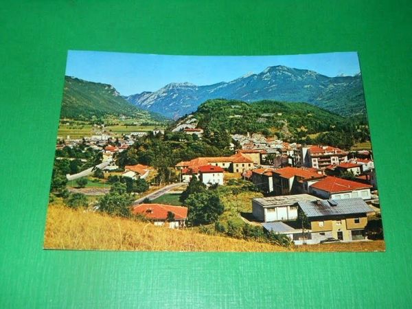 Cartolina Demonte ( Valle Stura ) - Panorama 1981
