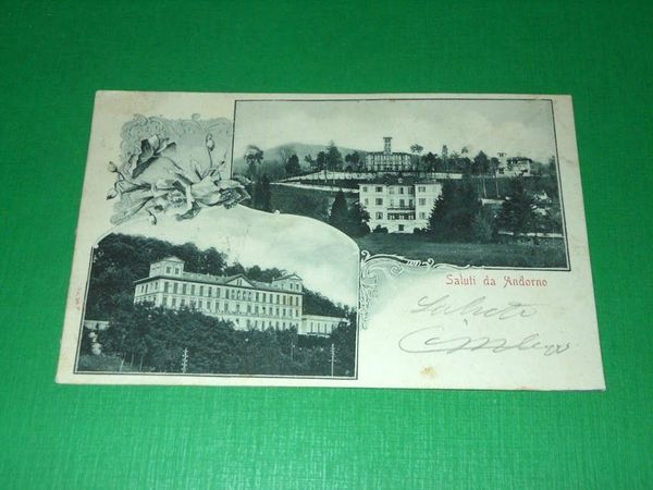 Cartolina Saluti da Andorno - Vedute diverse 1901