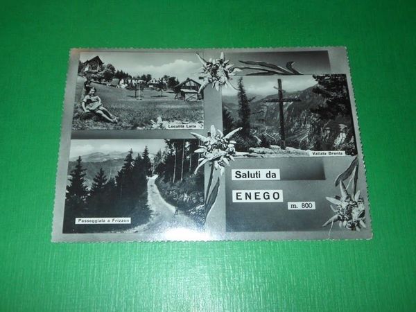 Cartolina Saluti da Enego - Vedute diverse 1950 ca