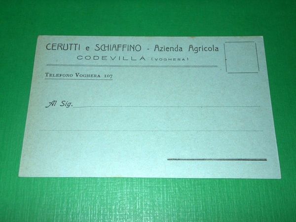 Cartolina Pubblicità Cerutti e Schiaffino - Az. Agricola Codevilla Voghera …