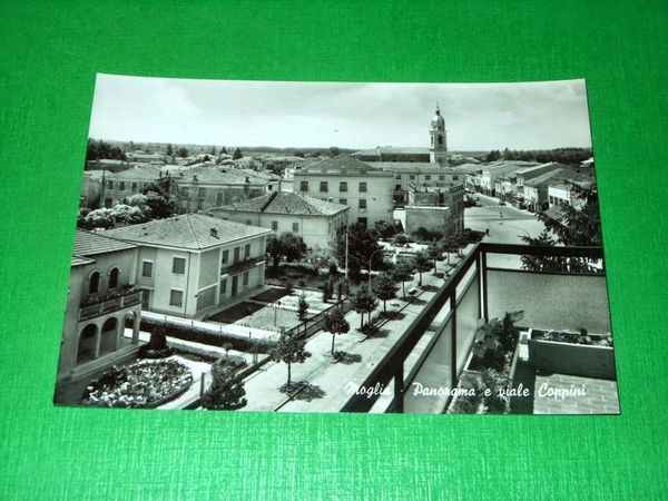 Cartolina Moglia - Panorama e viale Coppini 1960 ca.