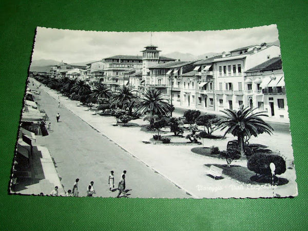 Cartolina Viareggio - Viali lungomare 1950 ++
