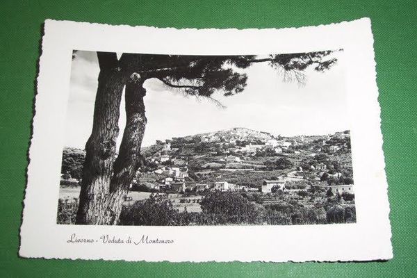 Cartolina Livorno - Veduta di Montenero 1952