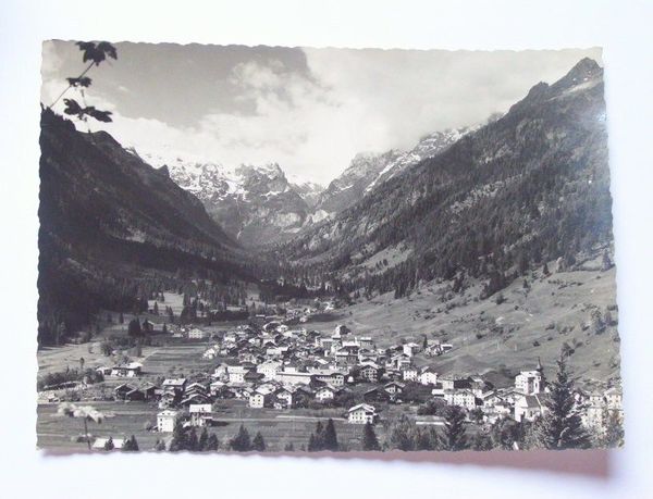 Cartolina Forno di Canale - Panorama 1958