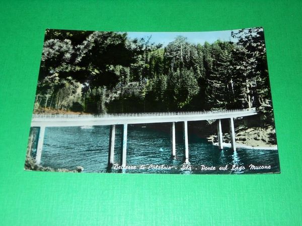 Cartolina Bellezze di Calabria - Sila - Ponte sul Lago …