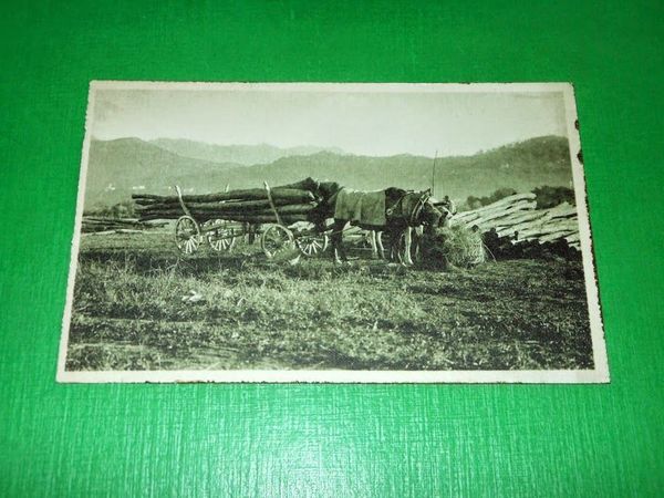 Cartolina Lavoro e salute cerchiamo al Signor ... - Fusinato …