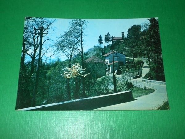 Cartolina Val Veddasca - Saluti da Graglio 1950