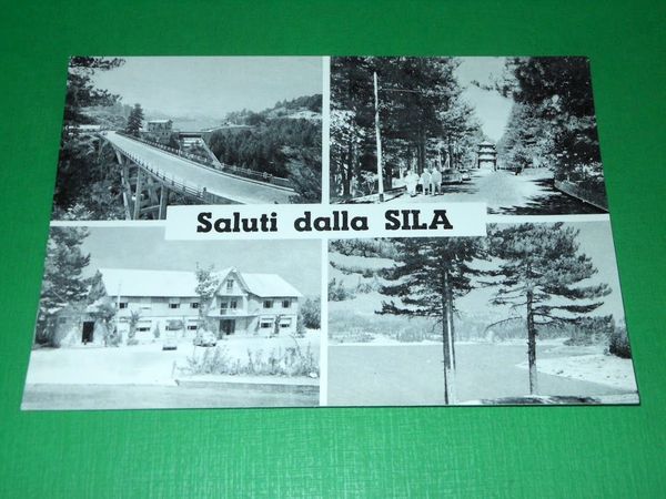 Cartolina Saluti dalla Sila - Vedute diverse 1960 ca ( …