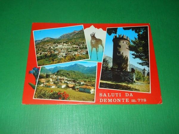 Cartolina Saluti da Demonte - Vedute diverse 1978