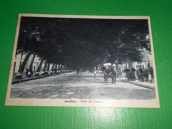 Cartolina Avellino - Viale dei Platani 1941