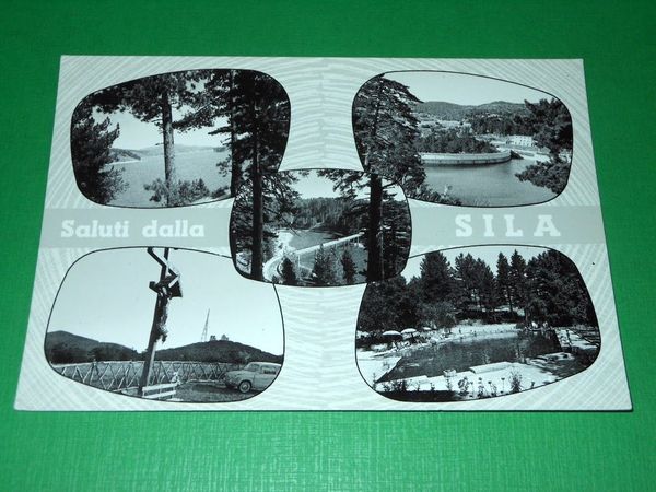 Cartolina Saluti dalla Sila - Vedute diverse 1960 ca ( …