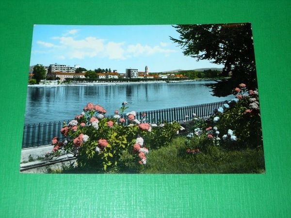 Cartolina Sesto Calende - Scorcio panoramico 1955 ca
