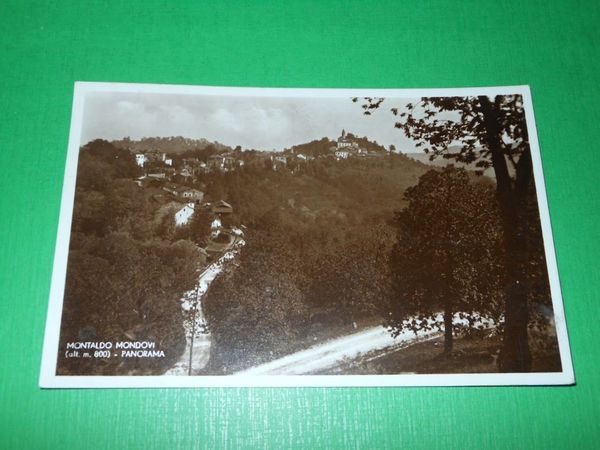 Cartolina Montaldo Mondovì - Panorama 1939