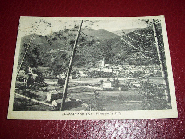 Cartolina Calizzano - Panorama e ville 1956