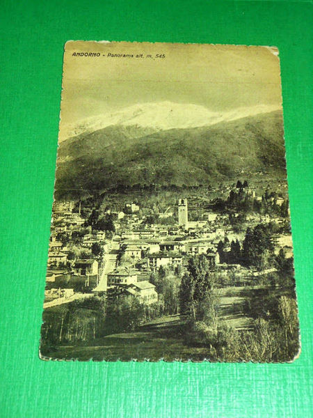 Cartolina Andorno - Panorama 1955
